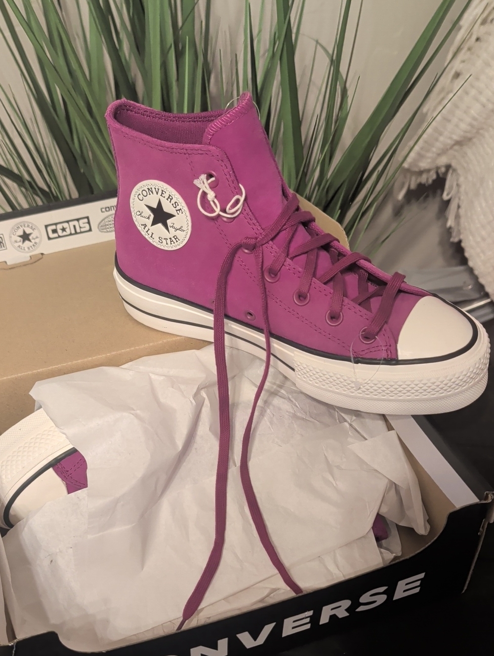 Converse.    New In Box.   Size 8